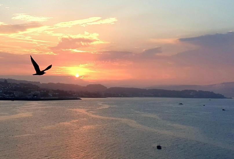 Piso Vacaciones En El Mar Apartman Sanxenxo Kültér fotó